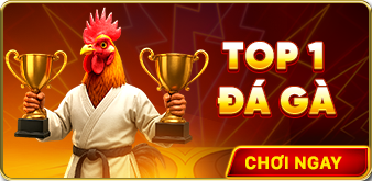 Top 1 Đá gà